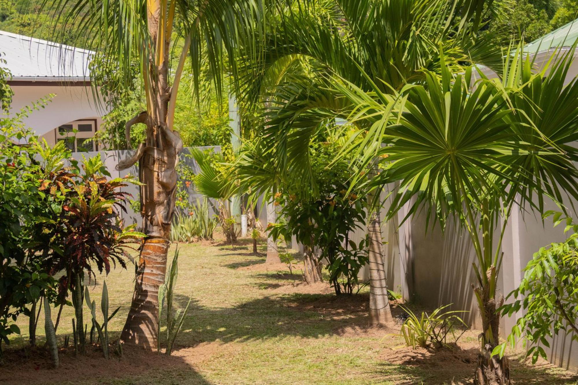 Palm Holiday Apartments Grand’ Anse Zewnętrze zdjęcie
